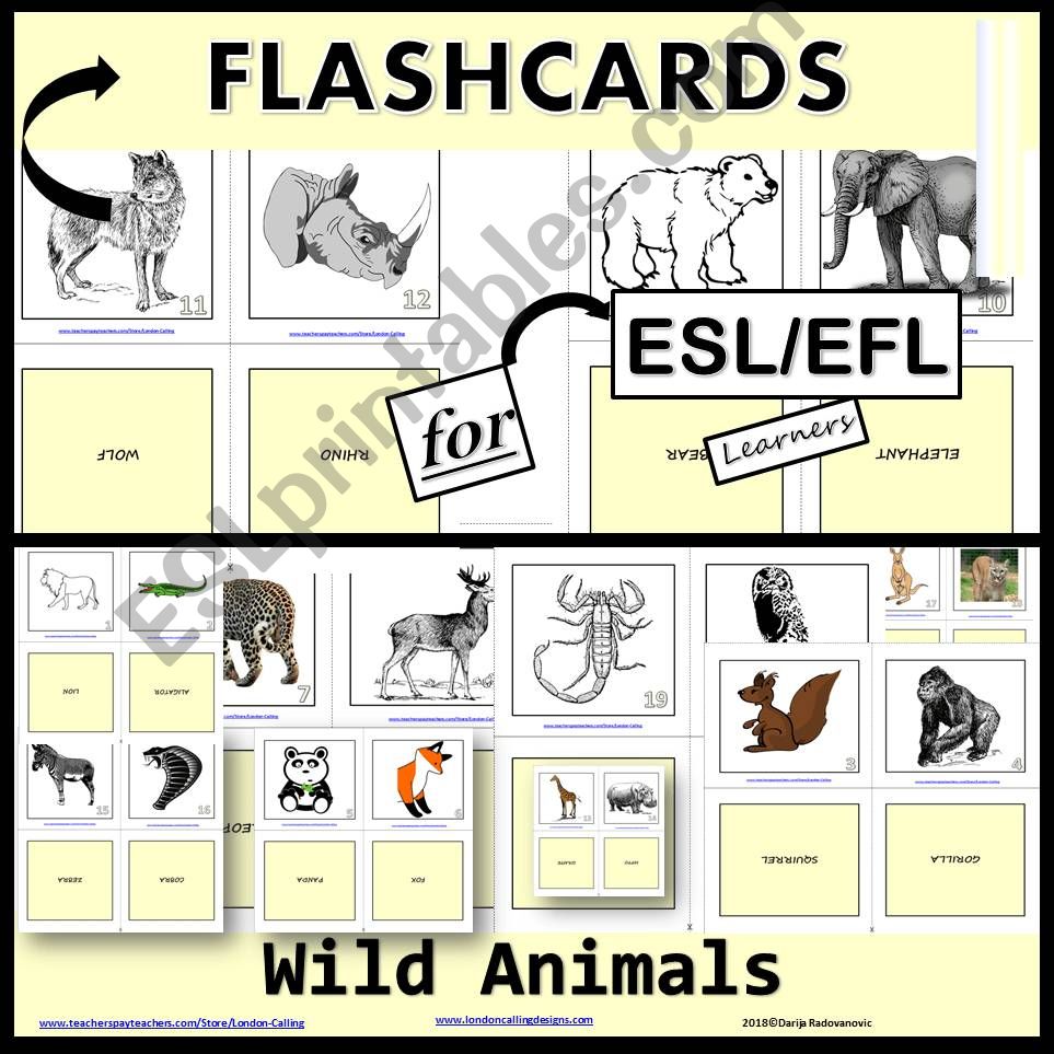 Flashcards - Wild Animals powerpoint