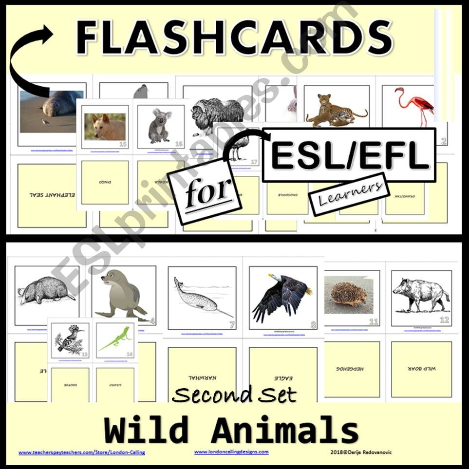 Wild Animals - Flashcards - Second Set