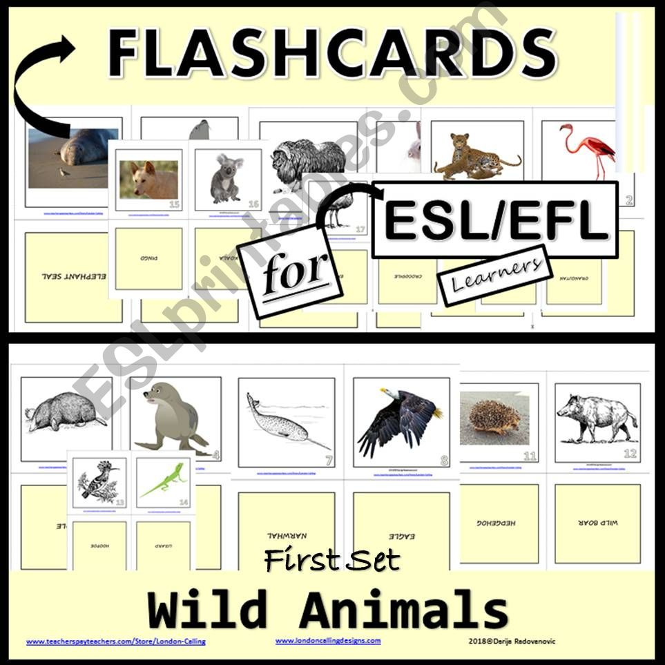 Wild Animals - Flashcards - First Set