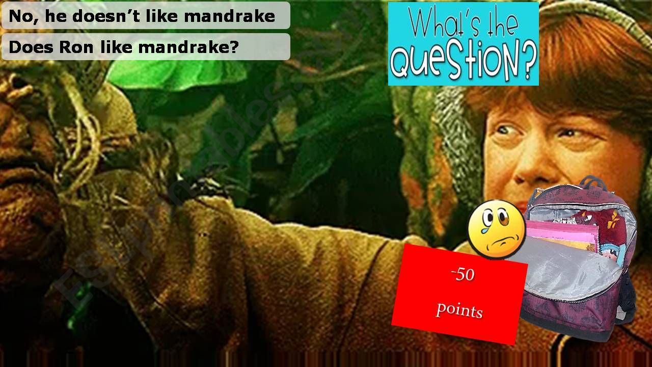 Harry Potter Whats the question? game -4 of 4