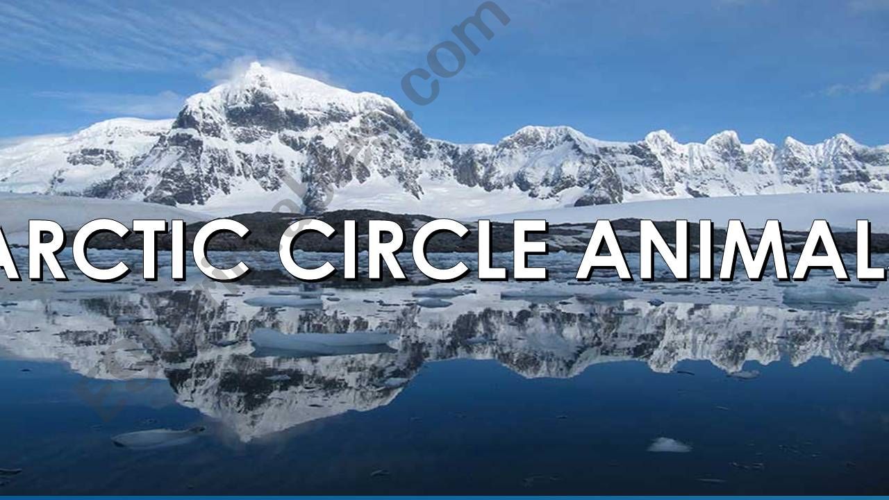 Article Circle Animals powerpoint