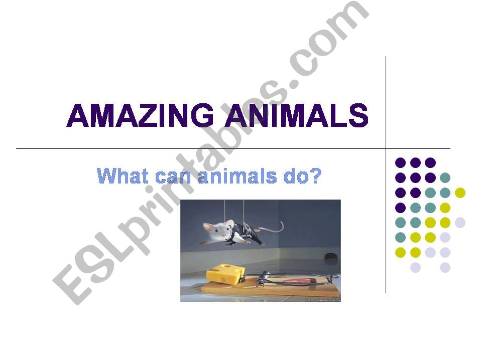 Amazing Animals powerpoint
