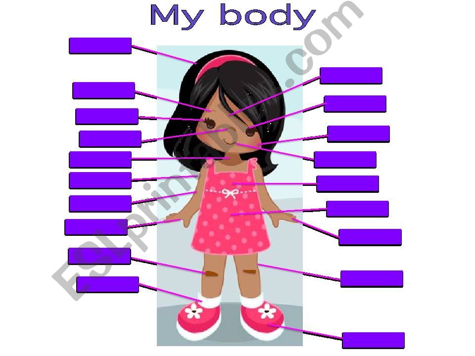 My body powerpoint