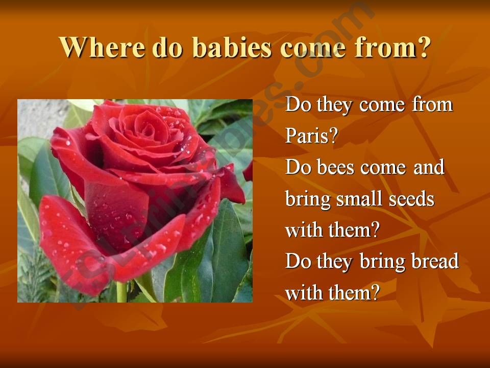 Where do babies come from? Typical ideas from the past , huh?