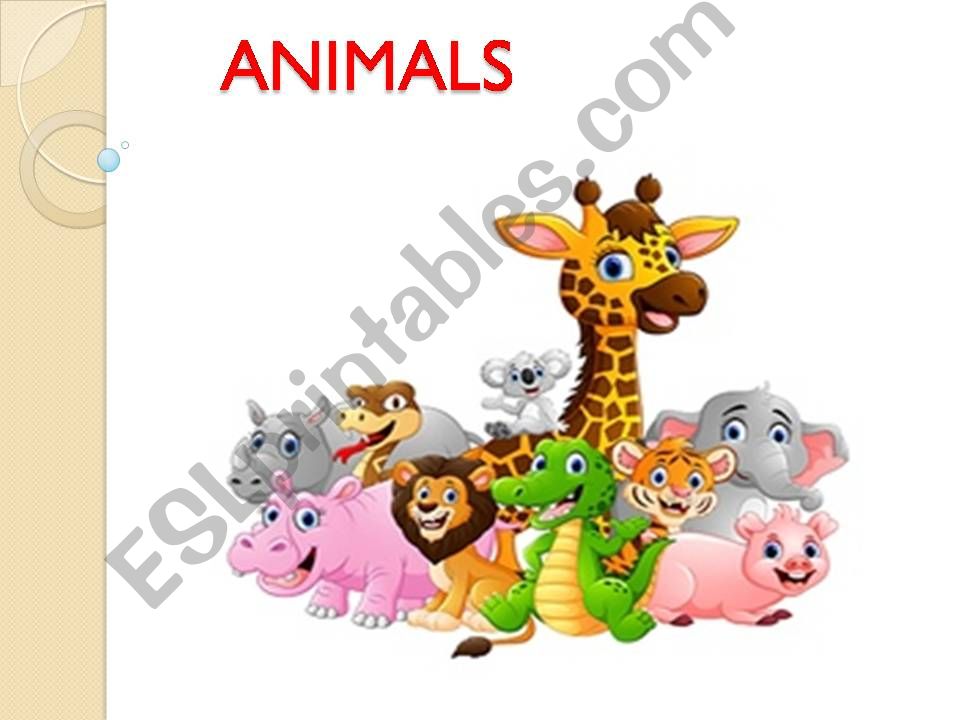 Animals powerpoint