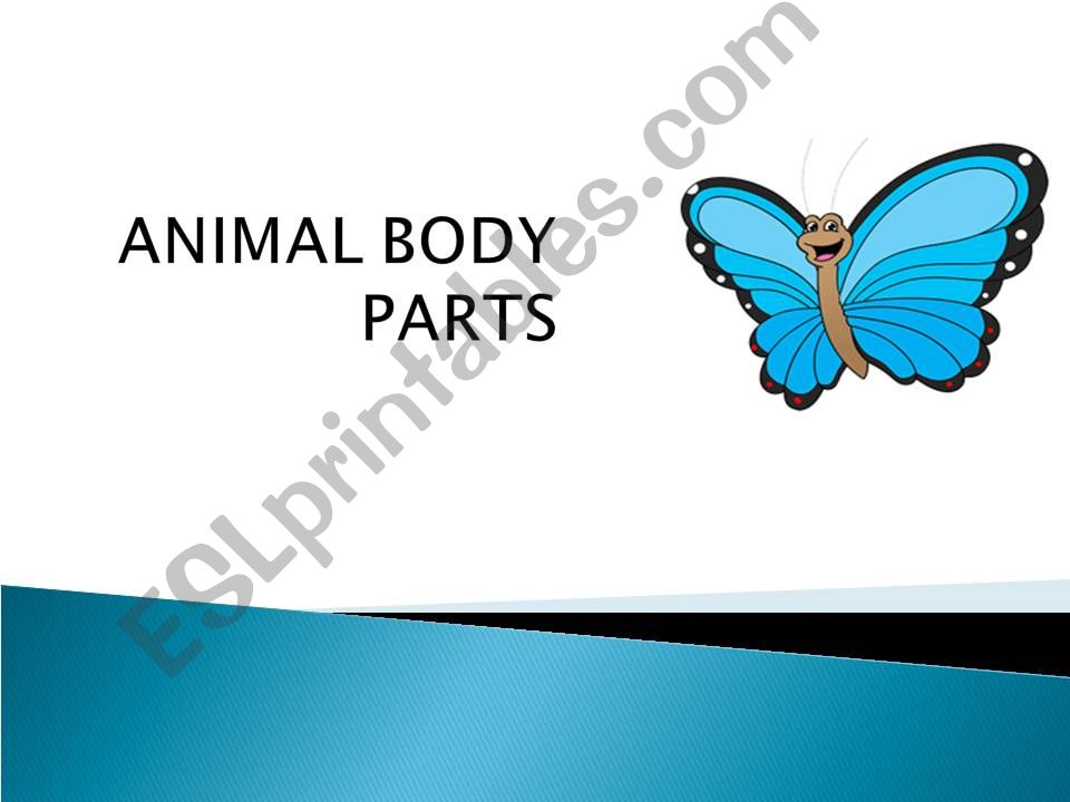 Animal body parts powerpoint