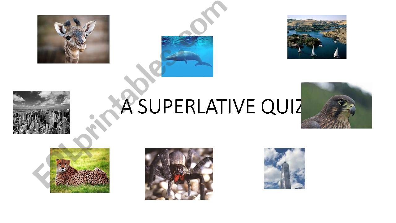 A superlative quiz powerpoint