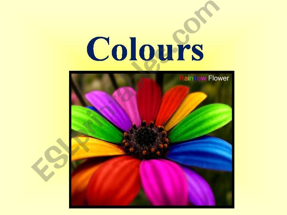 colours powerpoint
