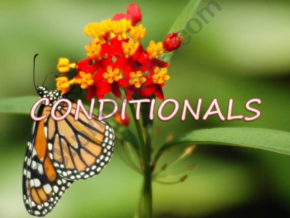 CONDITIONALS powerpoint