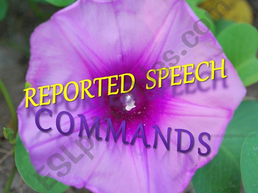 REPORTED SPEECH : COMMANDS powerpoint