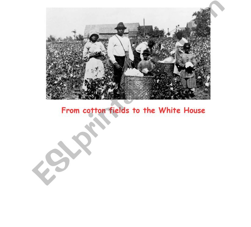 From cotton fields to the White House