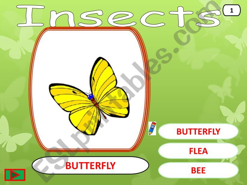 insects game powerpoint