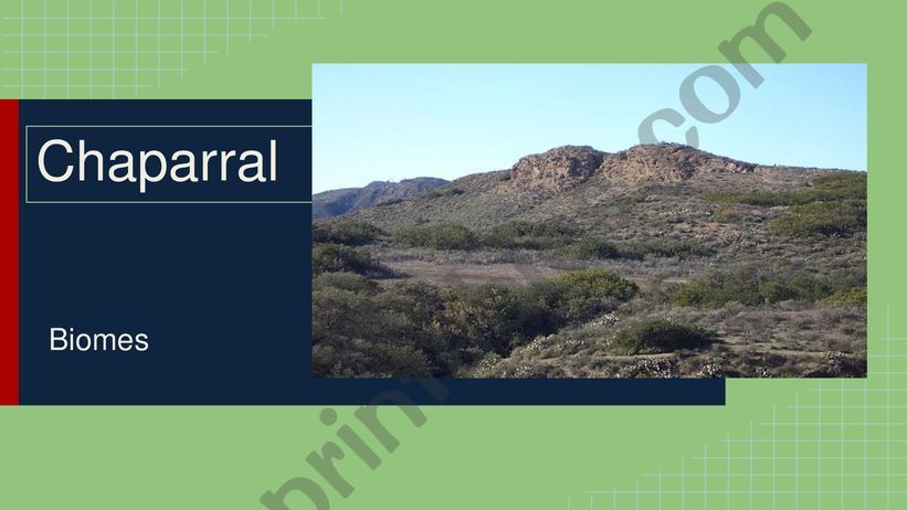 Chaparral presentation powerpoint
