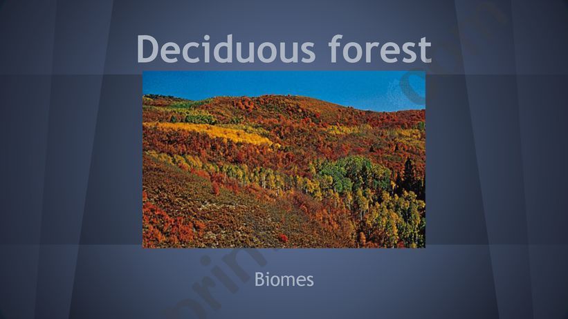 Deciduous forest presentation powerpoint