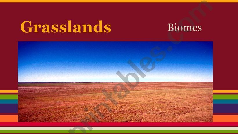 Grasslands presentation powerpoint