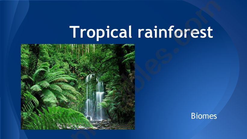 Tropical rainforest presentation