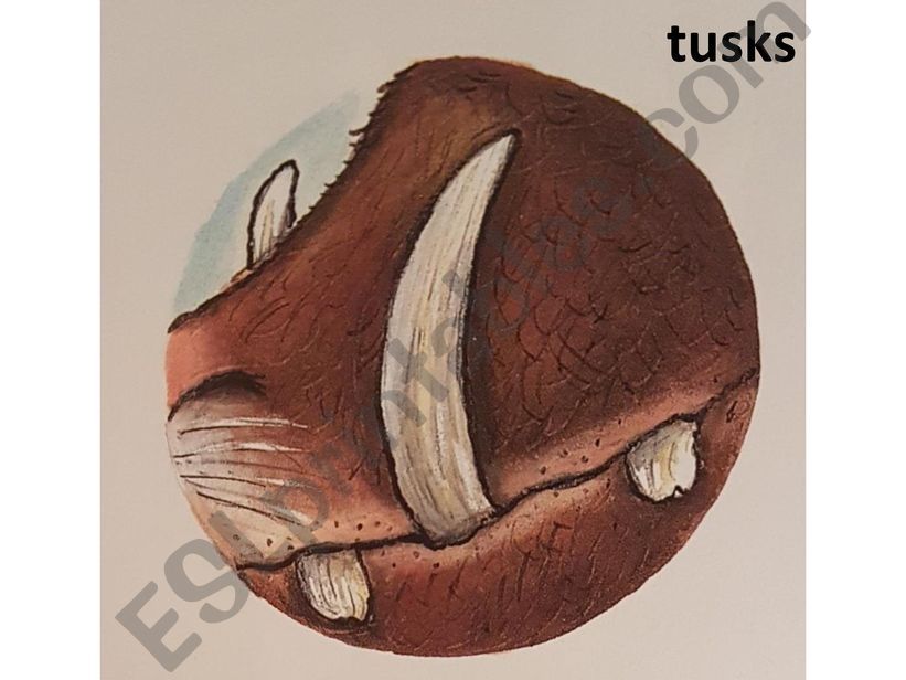 Gruffalo Vocabulary powerpoint