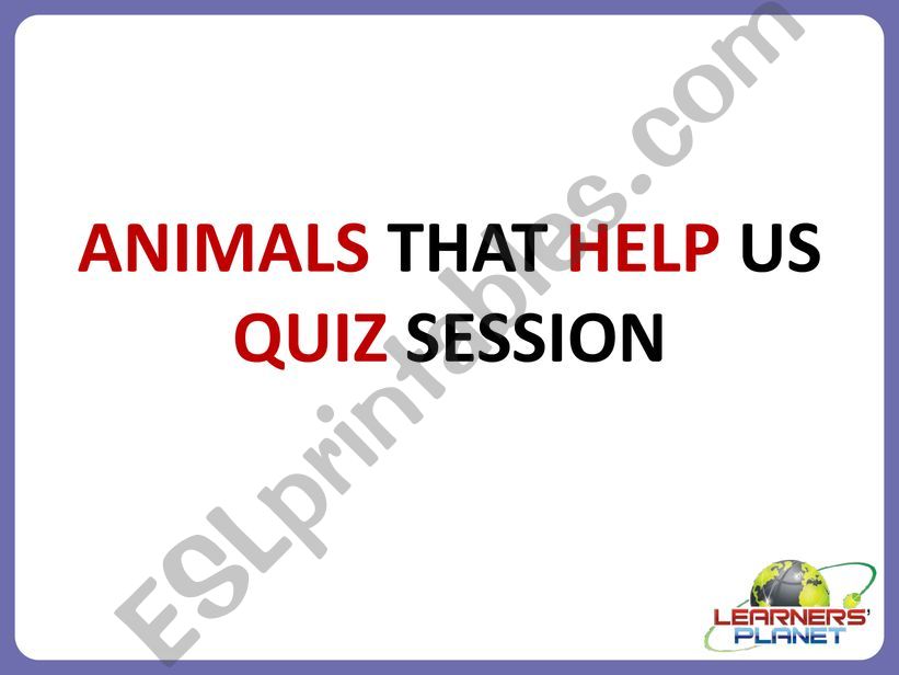 animalsquiz powerpoint