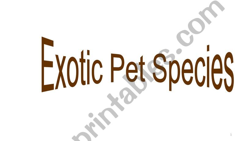 Exotic animals powerpoint