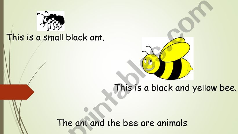 The Ant and the Bee powerpoint
