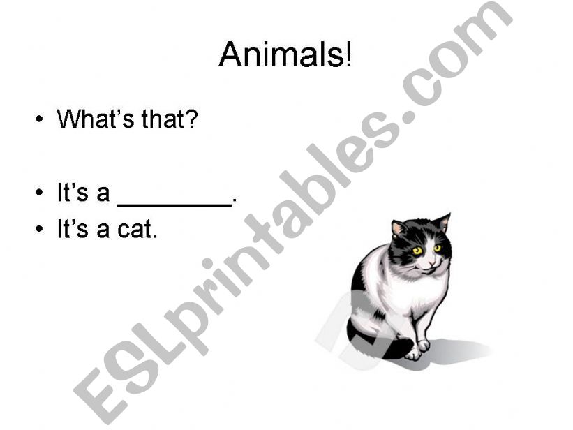 Animals powerpoint