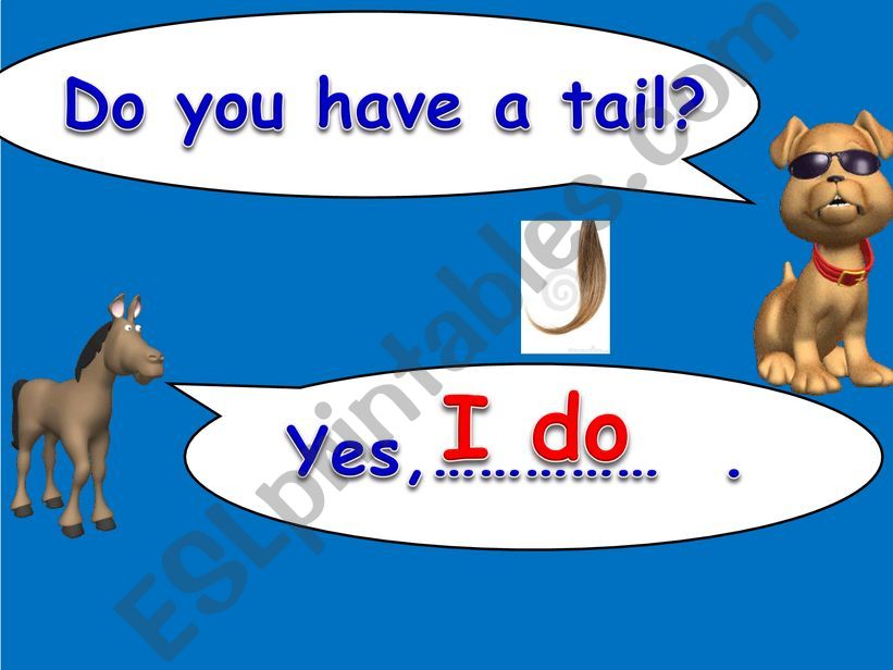 yes no QUESTIONS (SIMPLE PRESENT TENSE)2