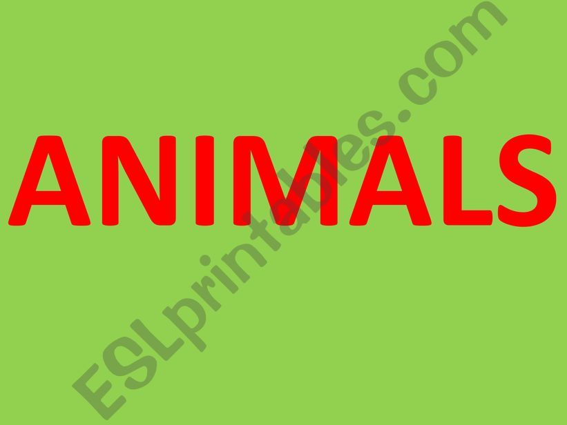 Animals powerpoint