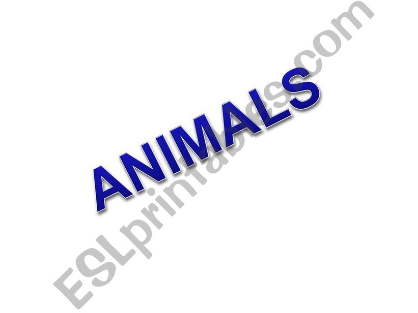animals powerpoint
