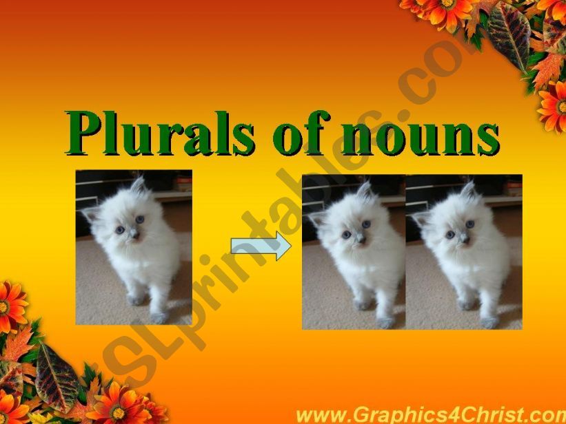 Plurals of nouns powerpoint