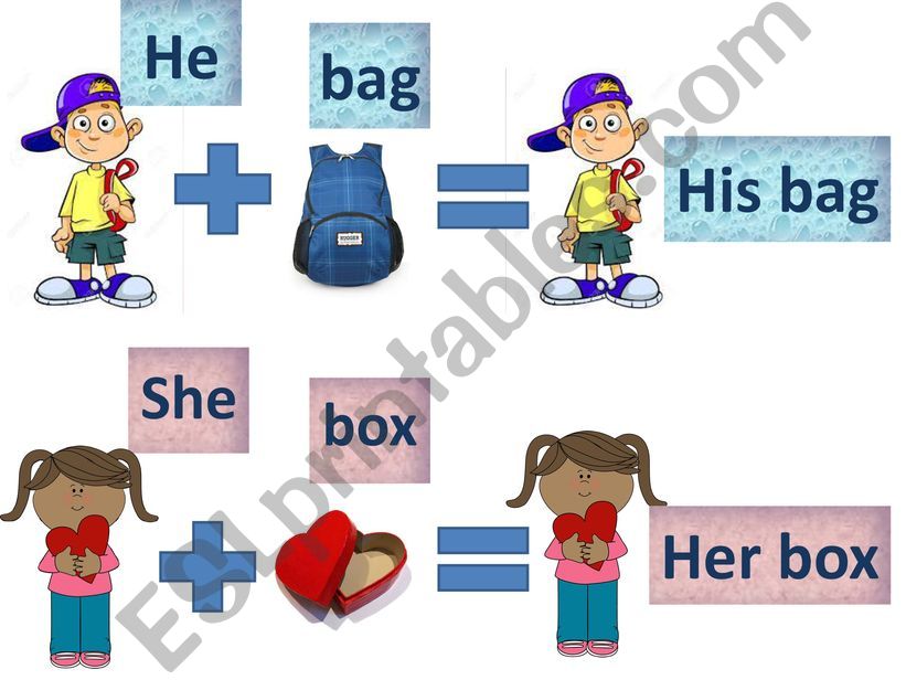 Possessive adjectives powerpoint