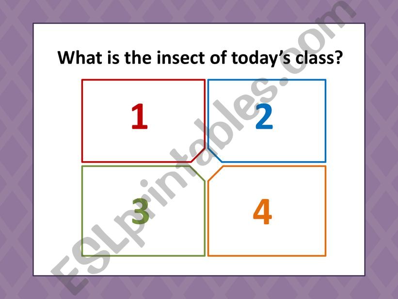 butterfly life cycle powerpoint