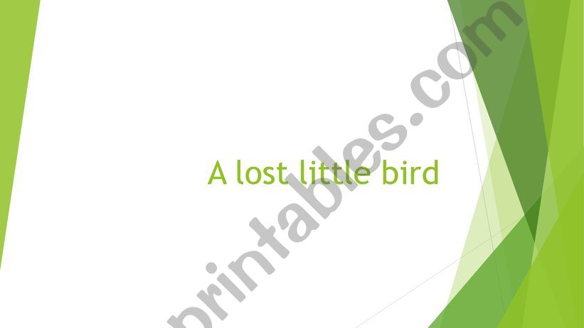 A lost little bird powerpoint