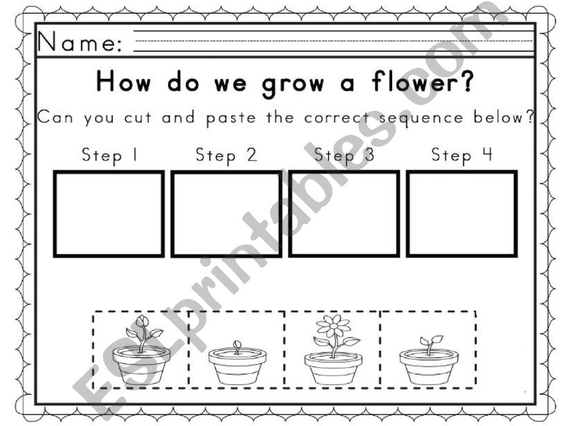 How can you grow a flower? powerpoint