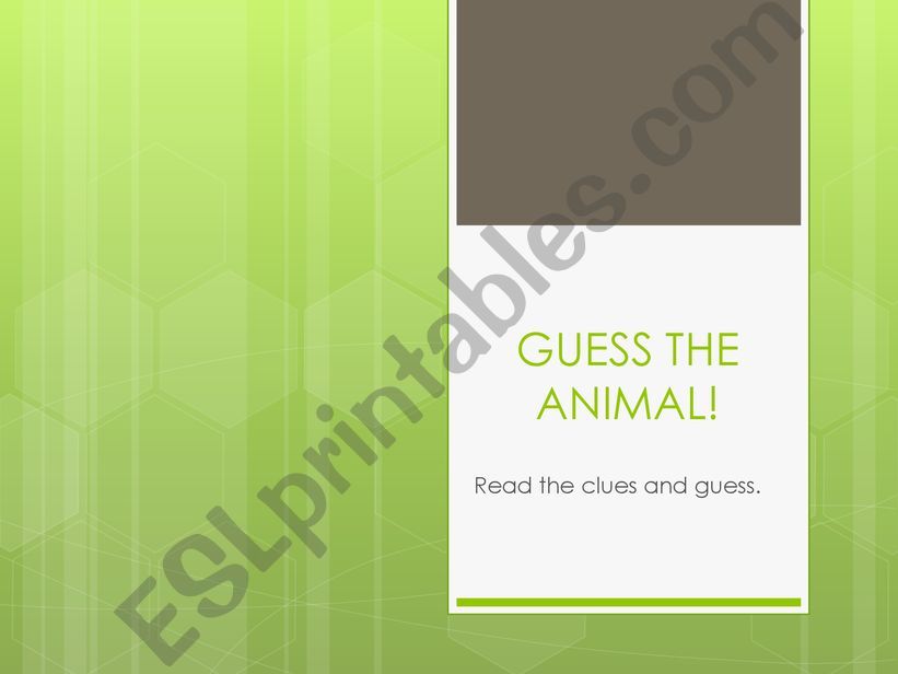 Guess the animal powerpoint