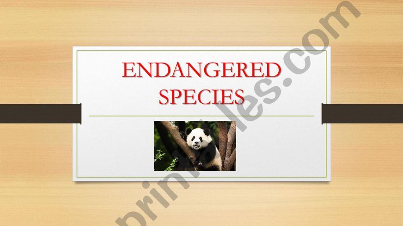 Oral Presentation on Engangered Species