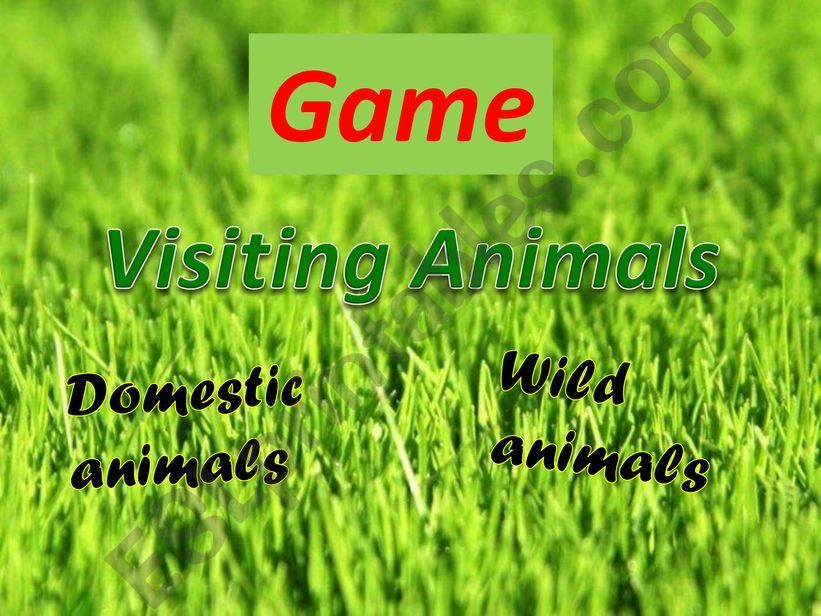 Visiting animals - domestic and wild