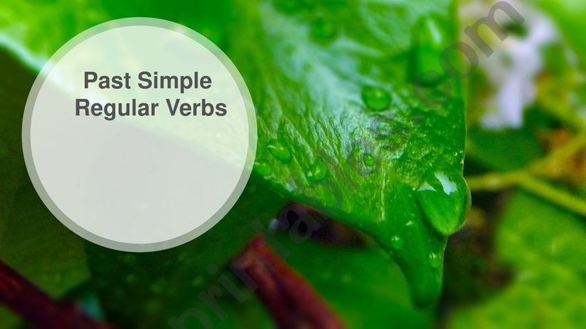 Past Simple - Regular Verbs powerpoint