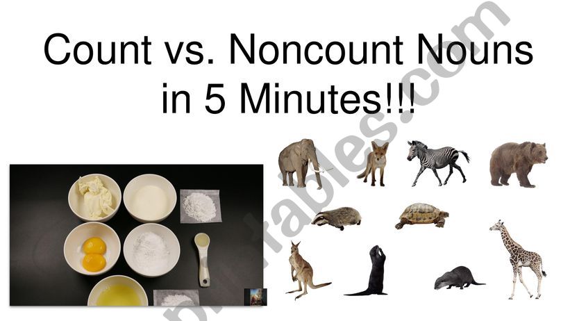 Count and Non-Count powerpoint