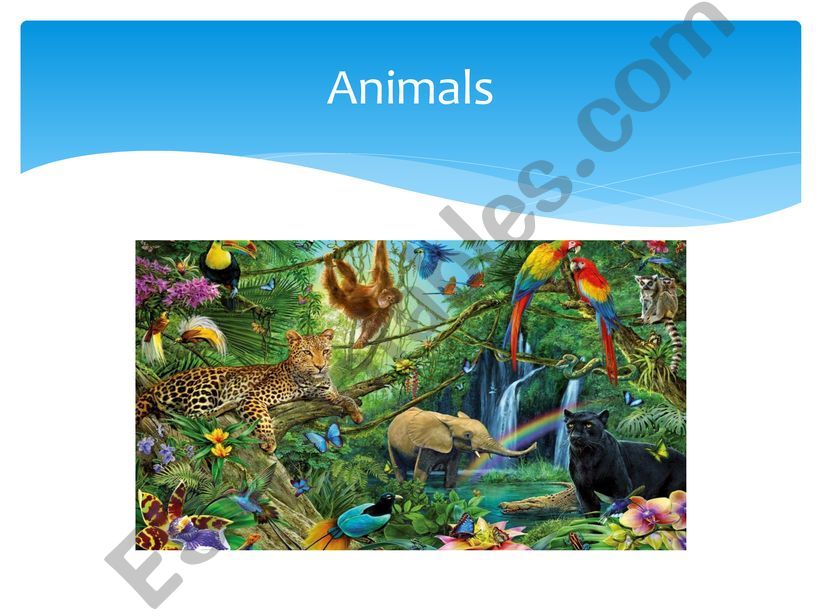 Animals  powerpoint