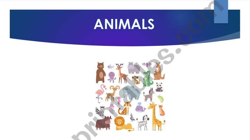 Animals powerpoint