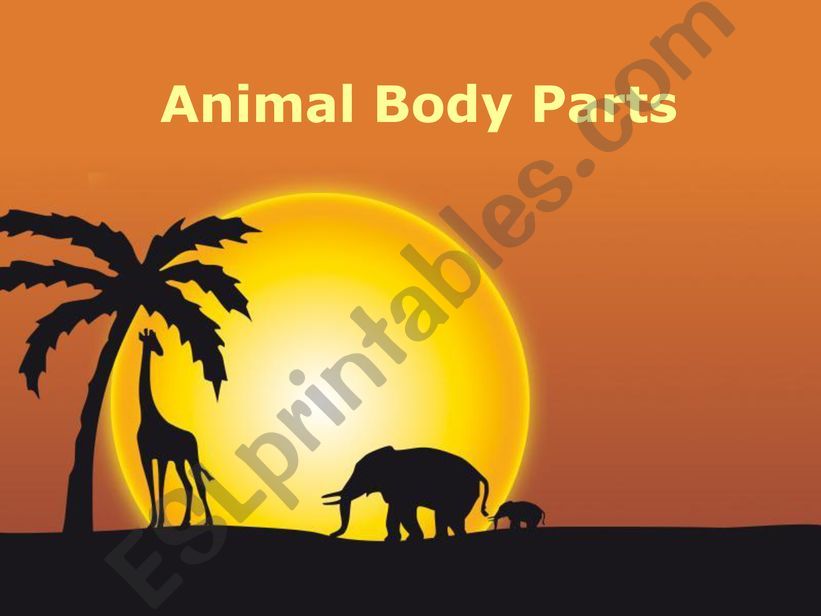 Animal Body Parts Vocabulary powerpoint