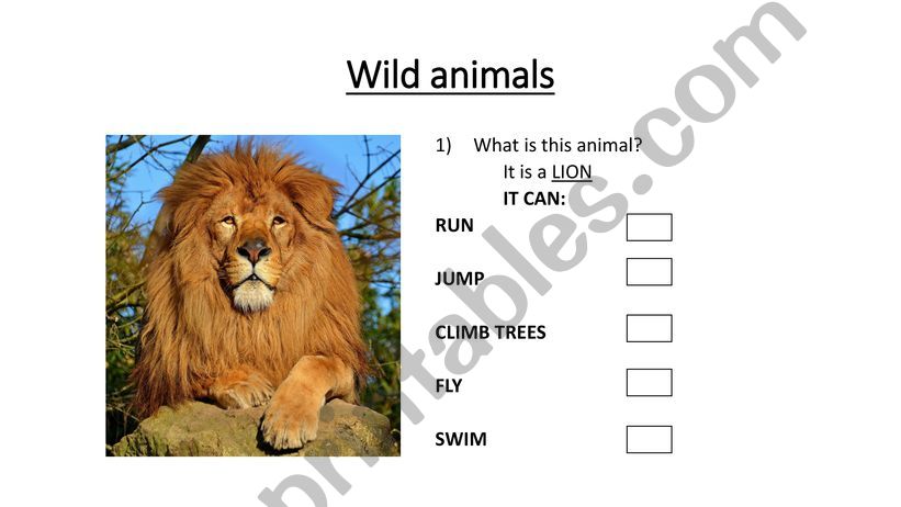 Wild Animals powerpoint