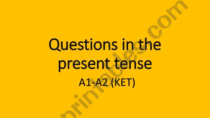 Present Simple Questions (Y/N and WH-) 