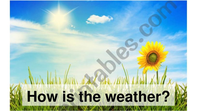 How Is The Weather? powerpoint