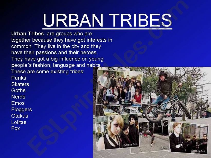 Urban tribes powerpoint