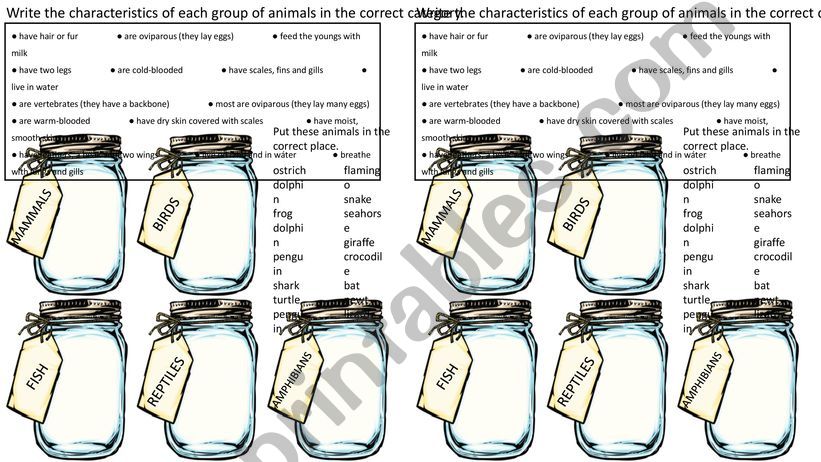 Groups of animals and their characteristics