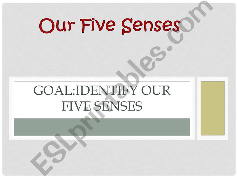 five senses powerpoint