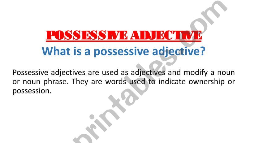 possessive adjectives powerpoint
