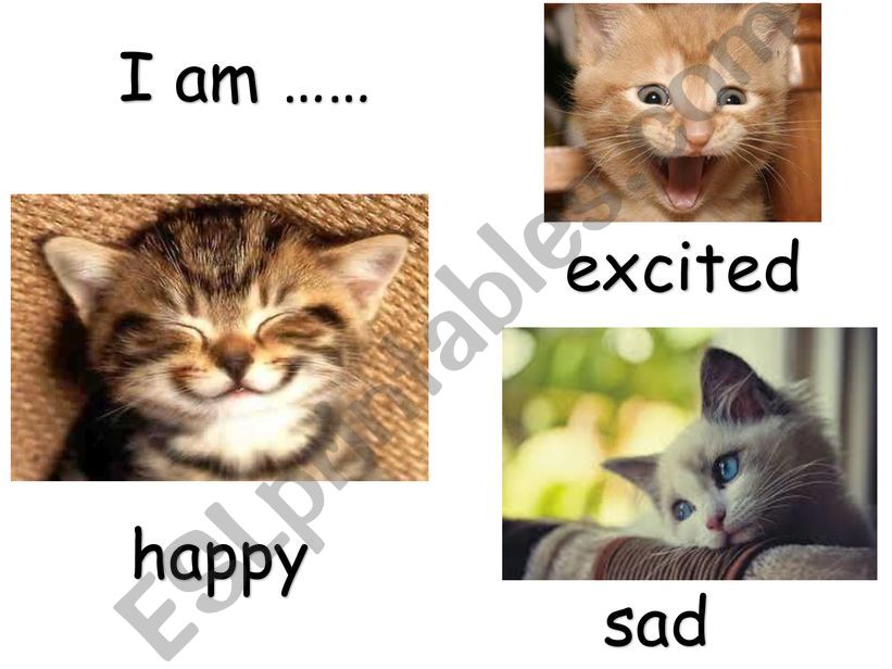 Teach emotions with cat pictures