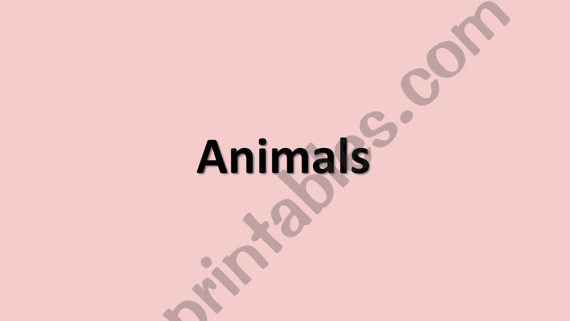 Animals Classification powerpoint